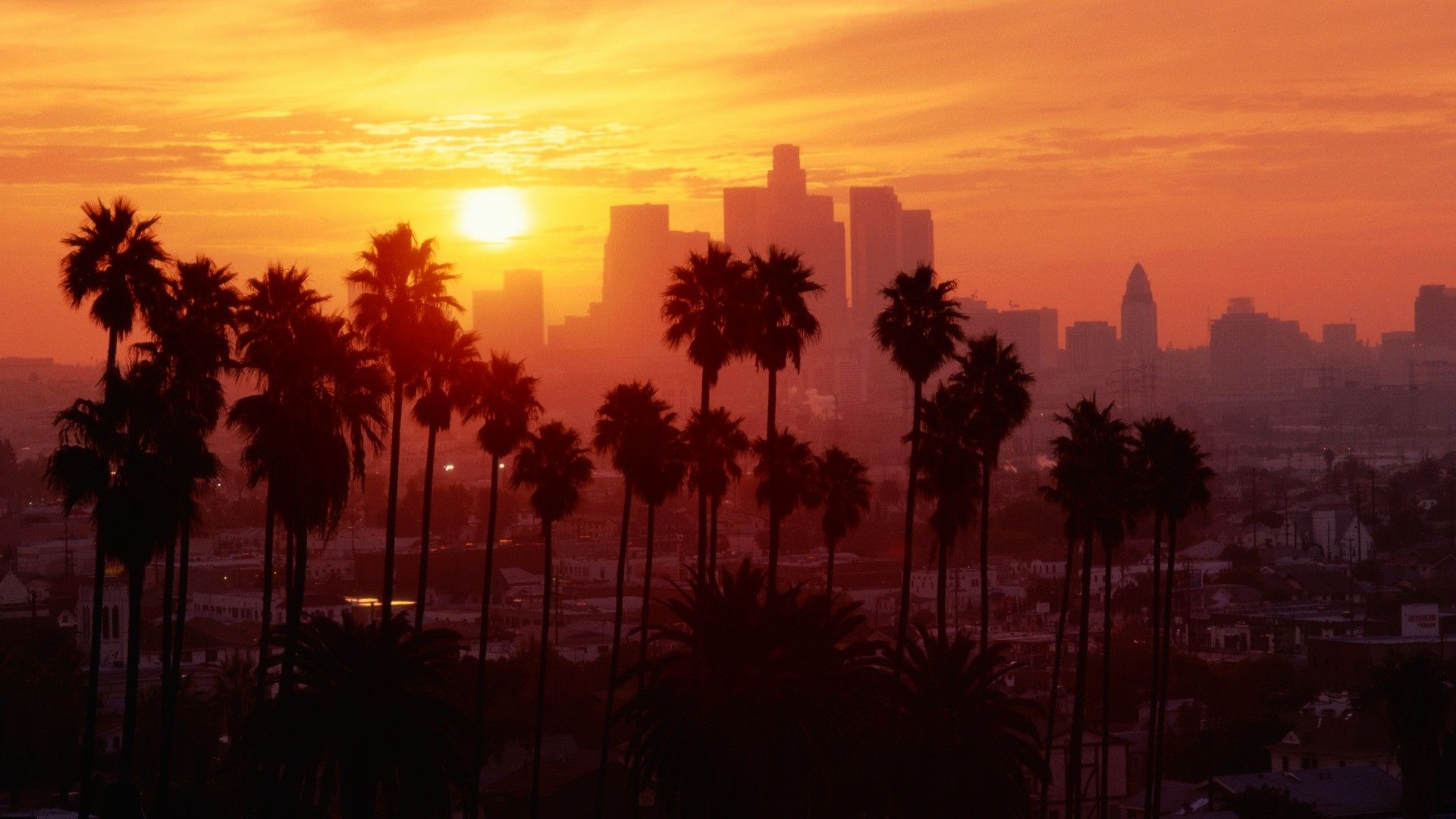 hollywood-sunset-wallpapers-4k-hd-hollywood-sunset-backgrounds-on