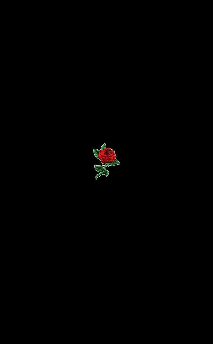 Minimalist Rose Wallpapers - 4k, HD Minimalist Rose Backgrounds on ...