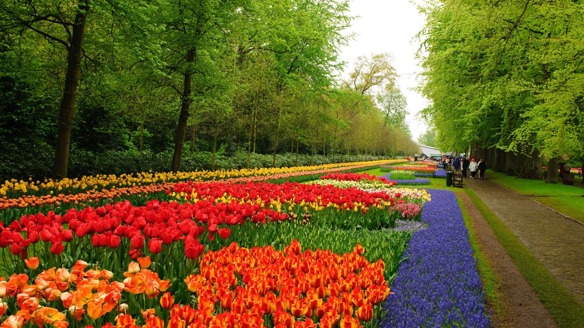 1920X1080 Flower Garden Wallpapers - 4k, HD 1920X1080 Flower Garden ...