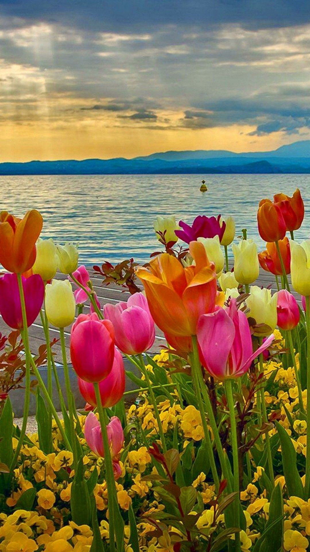 Spring Flowers Scenery Wallpapers - 4k, HD Spring Flowers Scenery ...