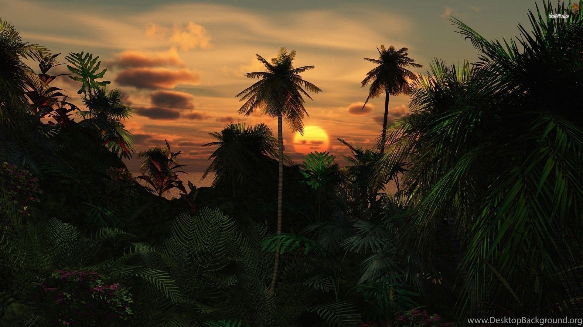 Jungle Sunset Wallpapers 4k Hd Jungle Sunset Backgrounds On Wallpaperbat