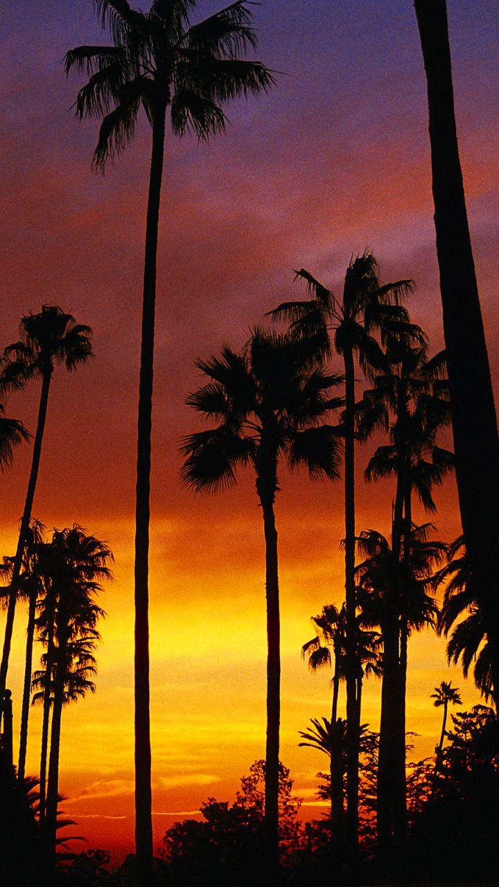 iPhone California Wallpapers - 4k, HD iPhone California Backgrounds on