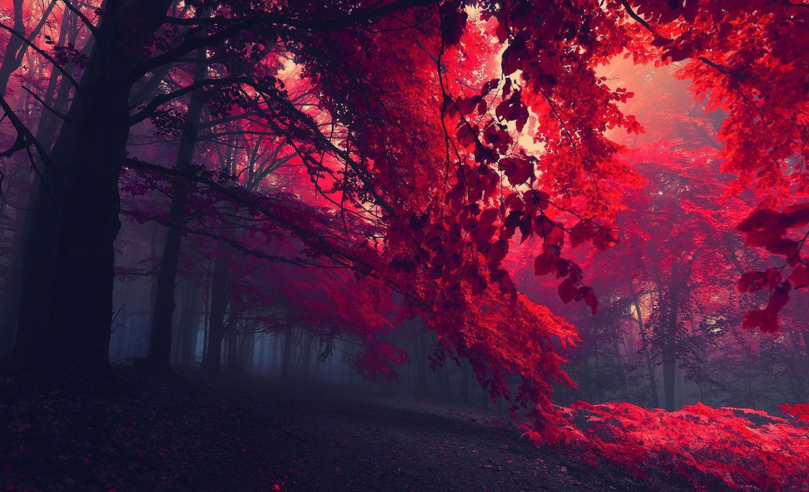 Gothic Trees Wallpapers - 4k, HD Gothic Trees Backgrounds on WallpaperBat