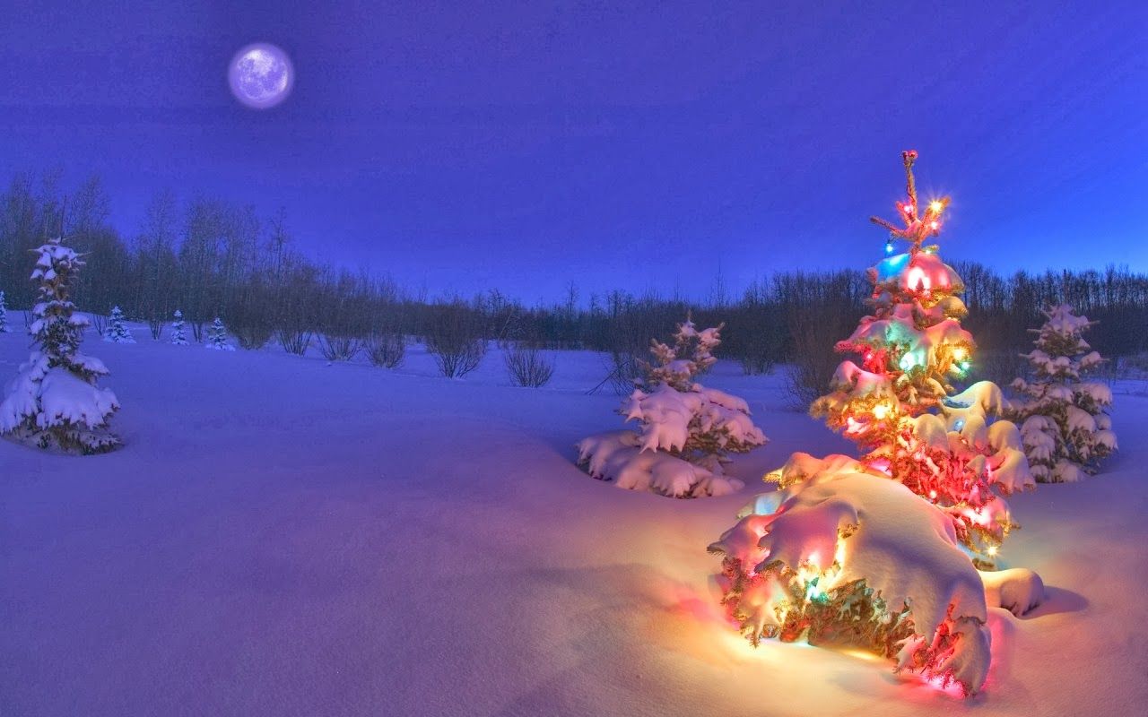 Christmas Scenes Wallpapers - 4k, HD Christmas Scenes Backgrounds on ...