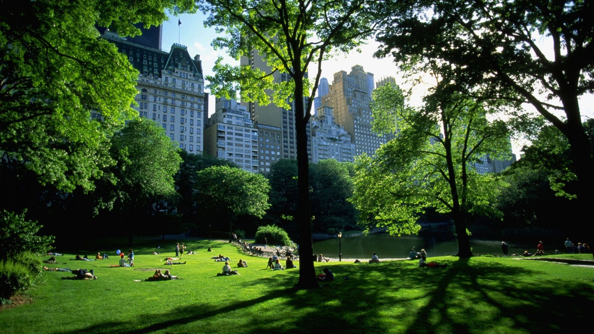 New York Central Park 4K Wallpaper Desktop Background, 51% OFF