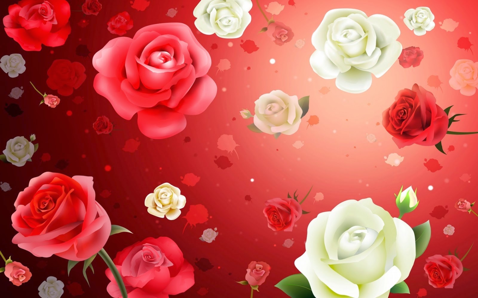 1600x1000 im.82: Most Beautiful Rose Flowers Wallpaper 1600x1000 on WallpaperBat