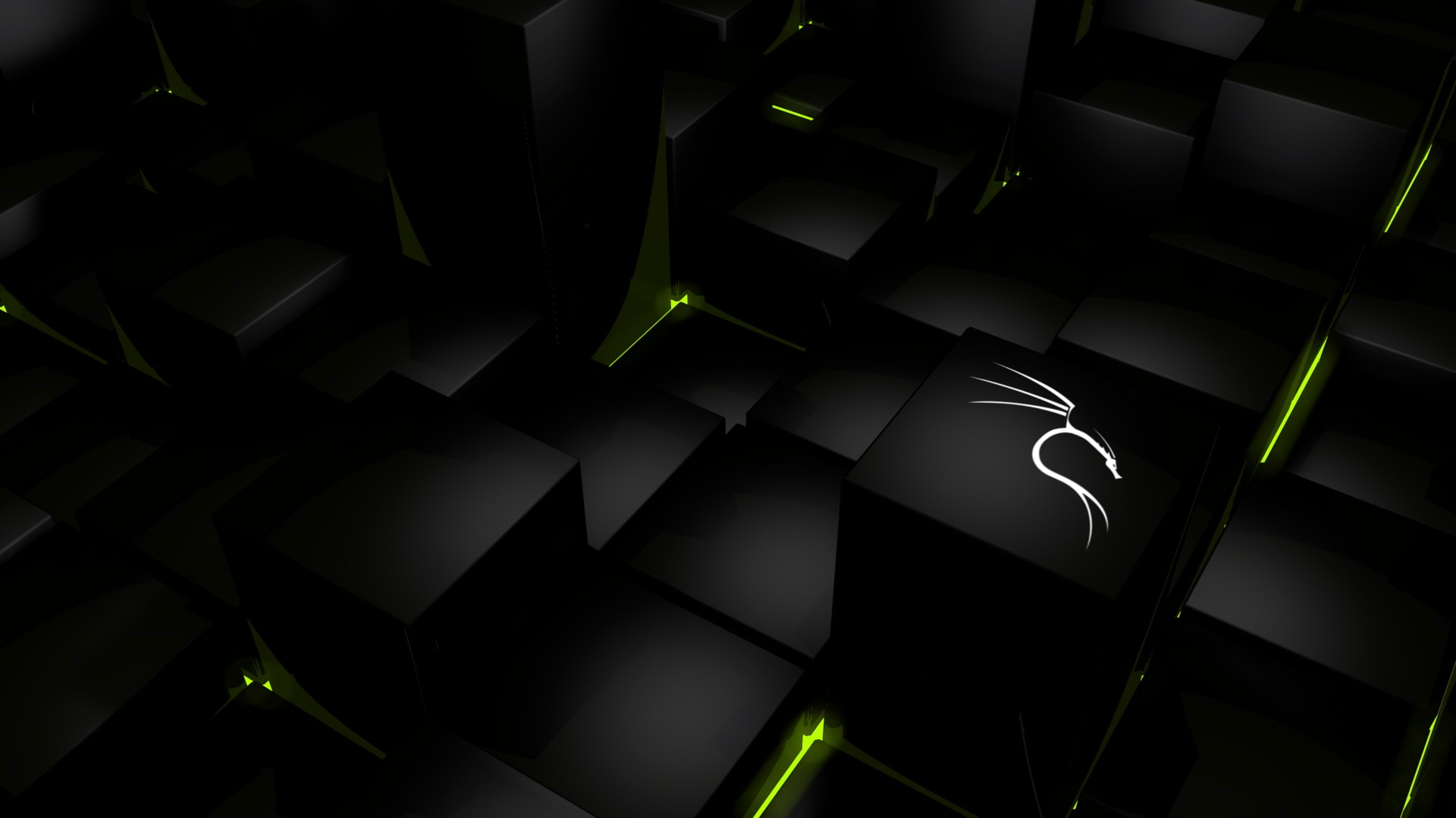 Kali Linux 3d Wallpapers 4k Hd Kali Linux 3d Backgrounds On Wallpaperbat