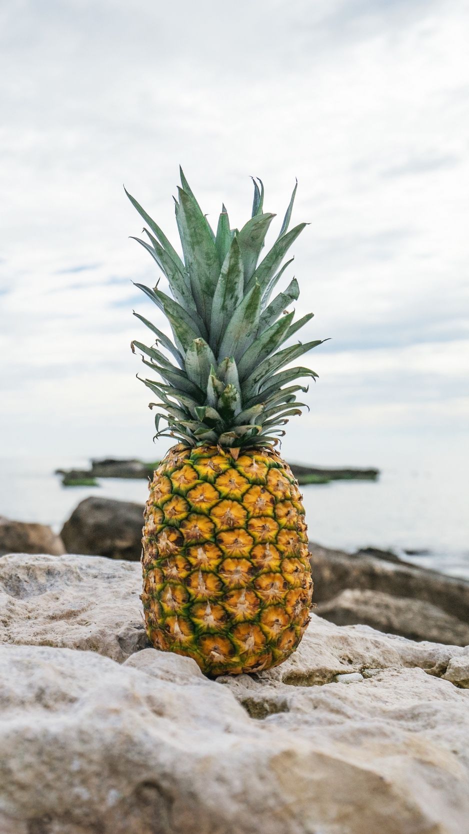 Pineapple Beach Wallpapers - 4k, HD Pineapple Beach Backgrounds on WallpaperBat