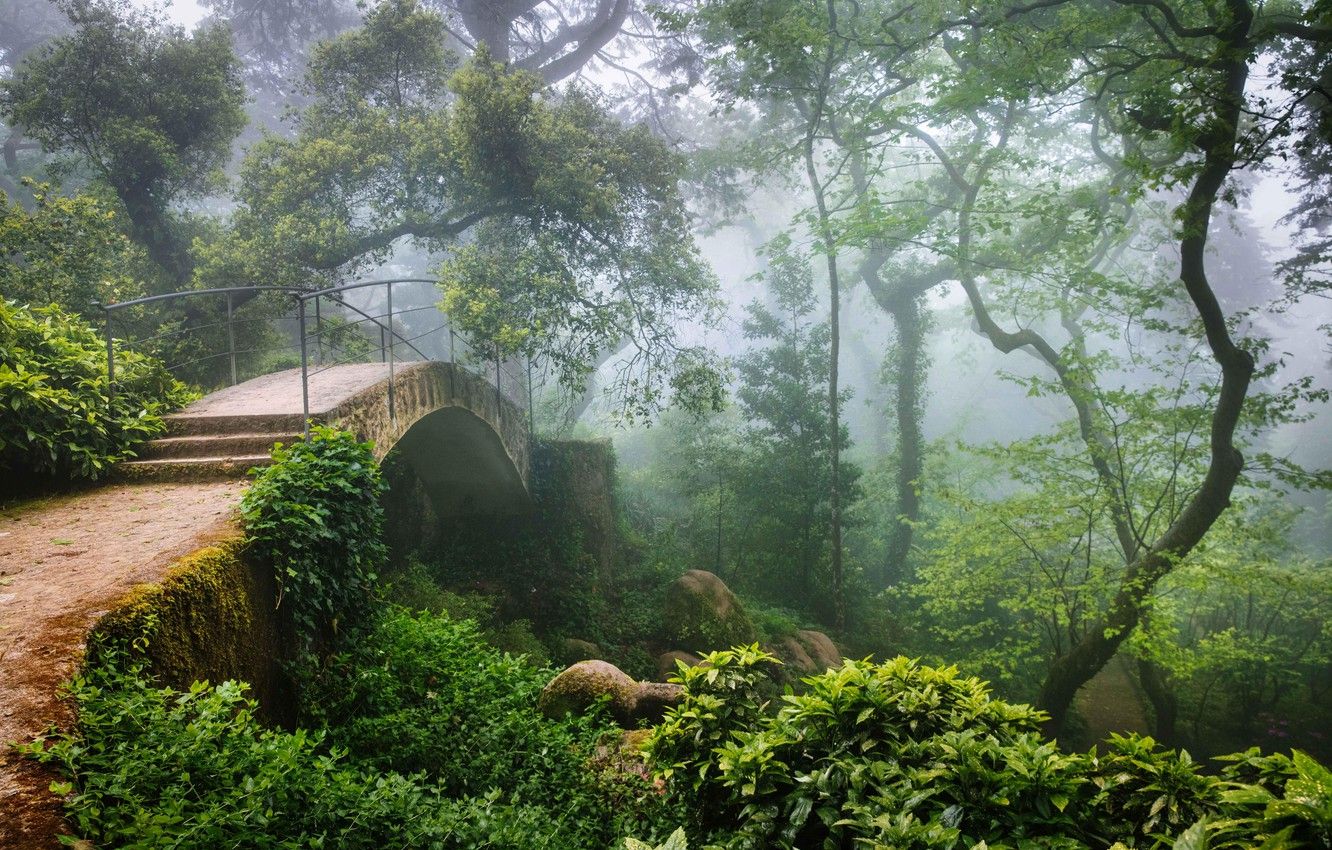 1332x850 Wallpaper forest, bridge, haze, Portugal, Sintra images for ... Wallpaper