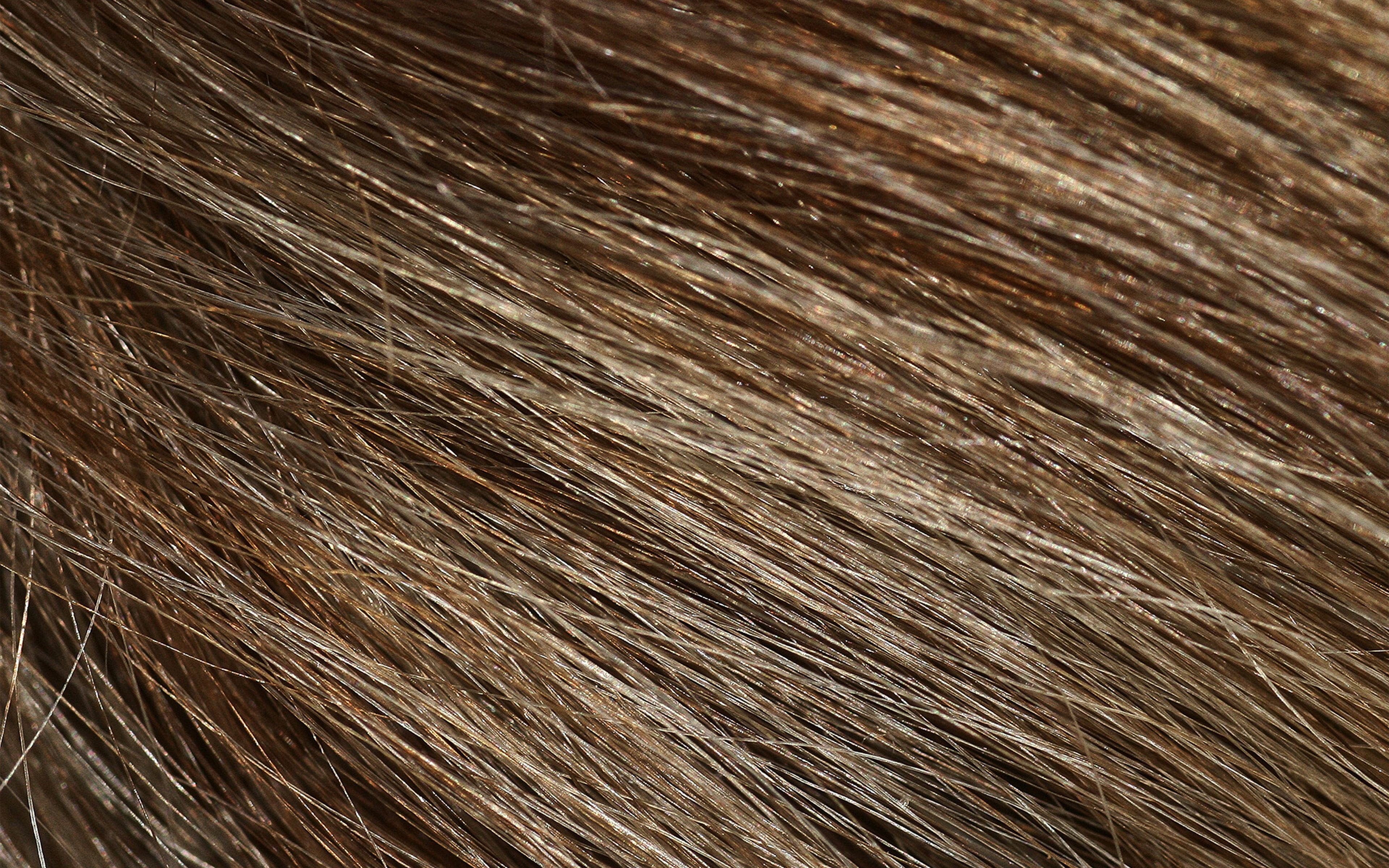 Текстура волос человека