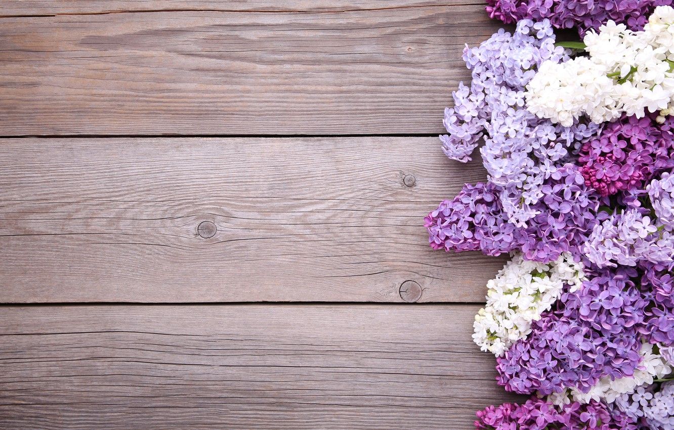 Wood and Flowers Wallpapers - 4k, HD Wood and Flowers Backgrounds on ...