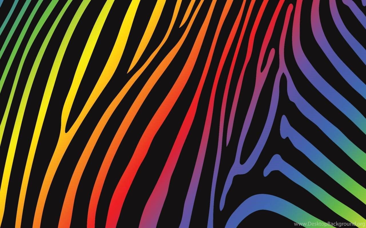Zebra rainbow freedom
