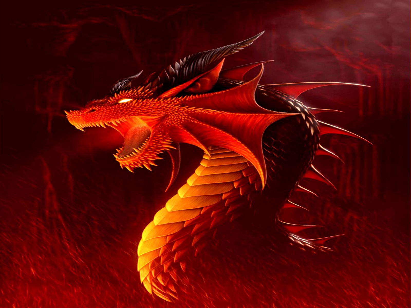 Year Of The Dragon Desktop Wallpapers 4k Hd Year Of The Dragon