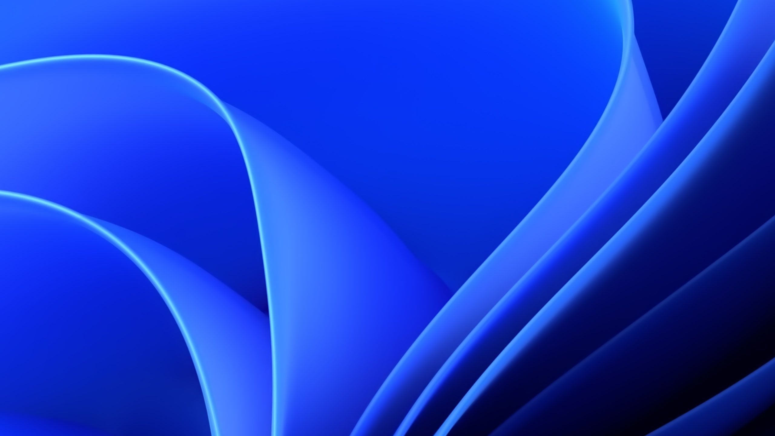 2560x1440 Download The Windows 11 Wallpaper Collection And Themes Here! on WallpaperBat