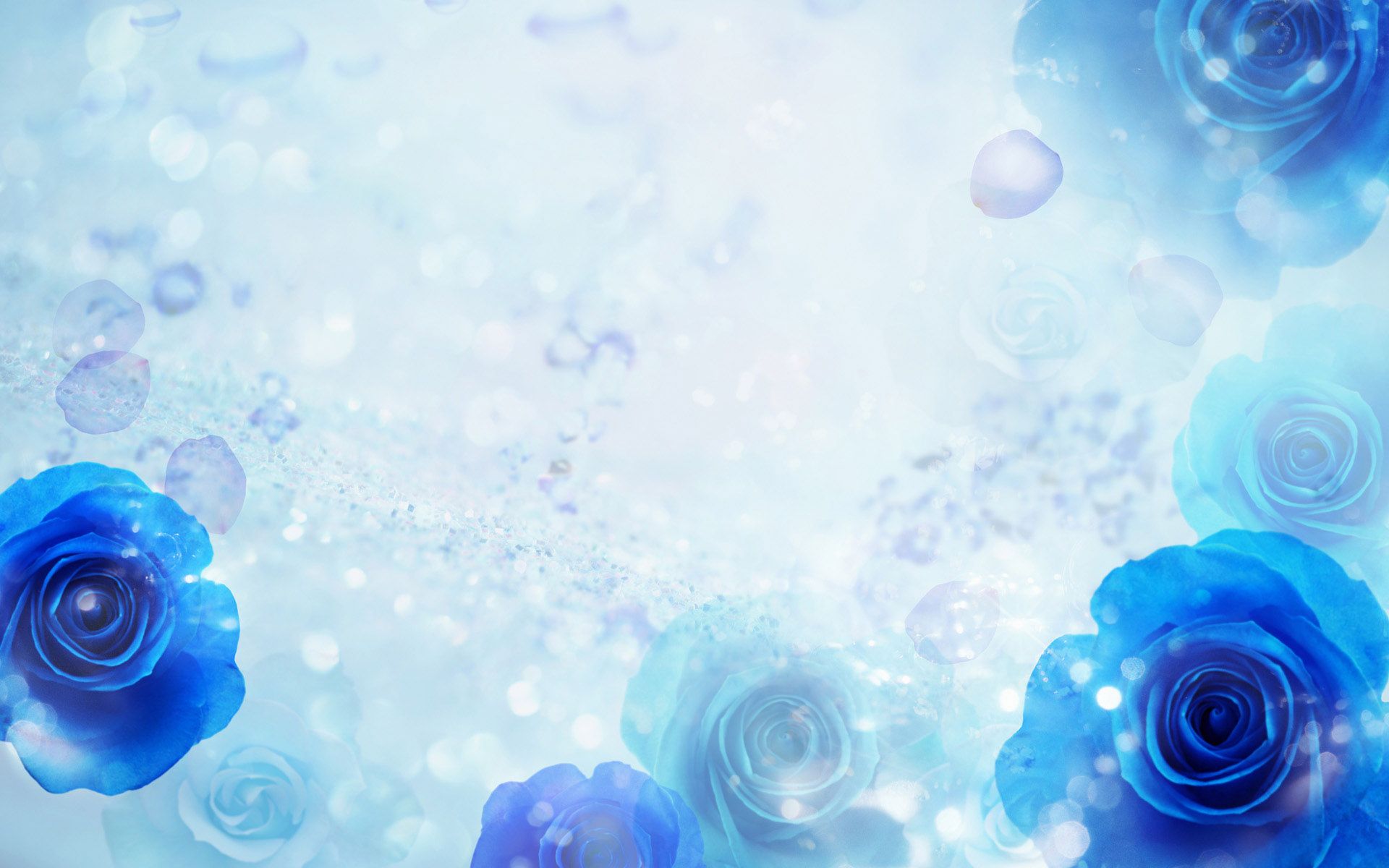 1920x1200 Free download Blue Roses Windows 7 themes Wallpaper HD Wallpaper 77338 [1920x1200] for your Desktop, Mobile & Tablet. Explore Blue Theme Wallpaper. Blue Wallpaper Background, Windows Wallpaper Blue, Cool Blue Wallpaper on WallpaperBat