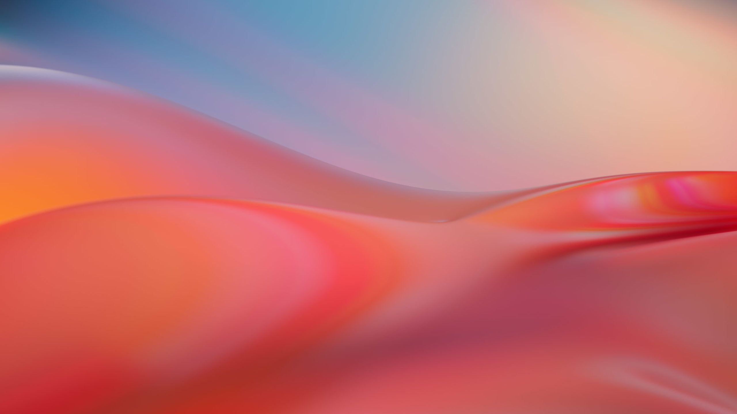 2560x1440 Download The Windows 11 Wallpaper Collection And Themes Here! on WallpaperBat