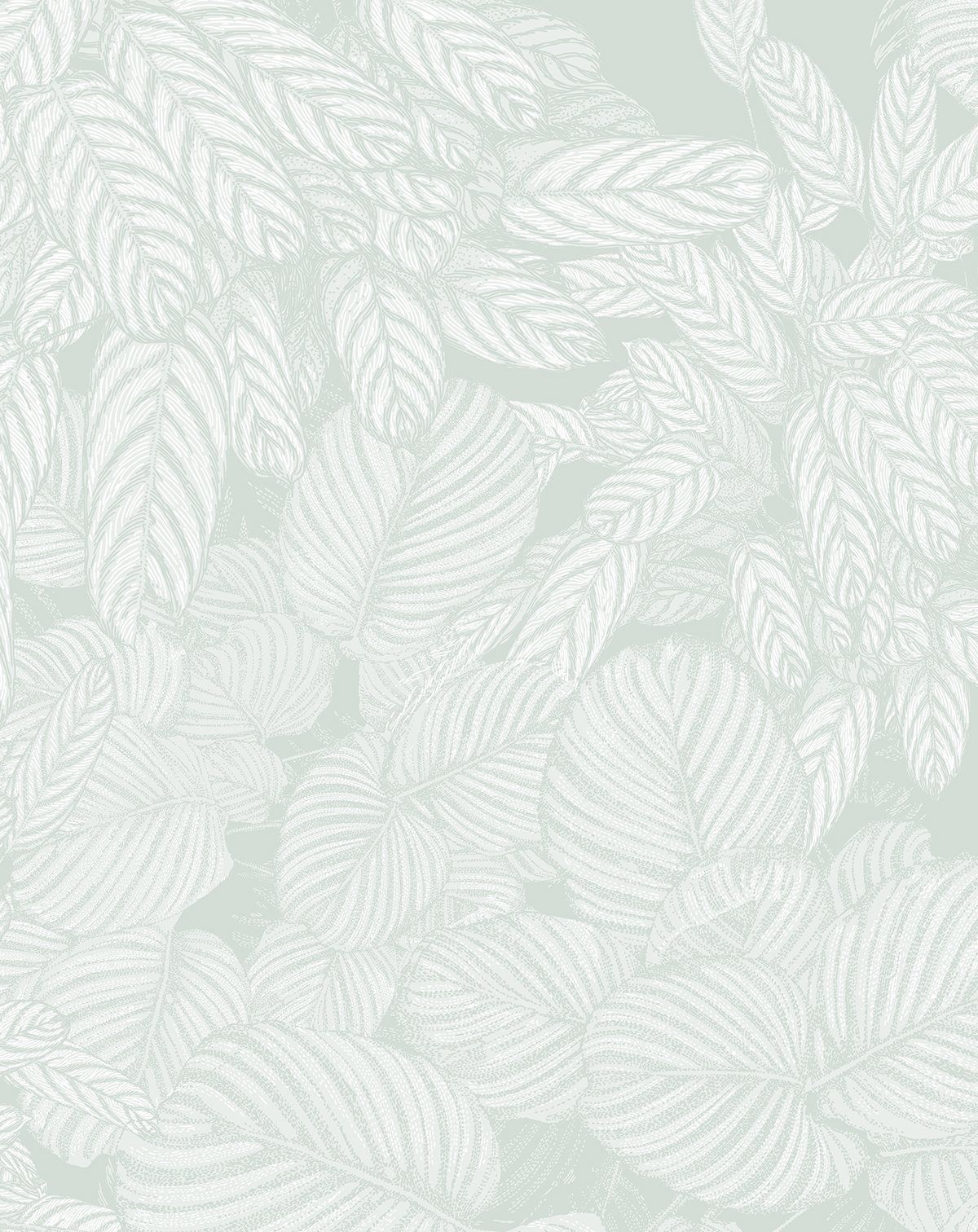 Sage Green Wallpapers - 4k, HD Sage Green Backgrounds on WallpaperBat