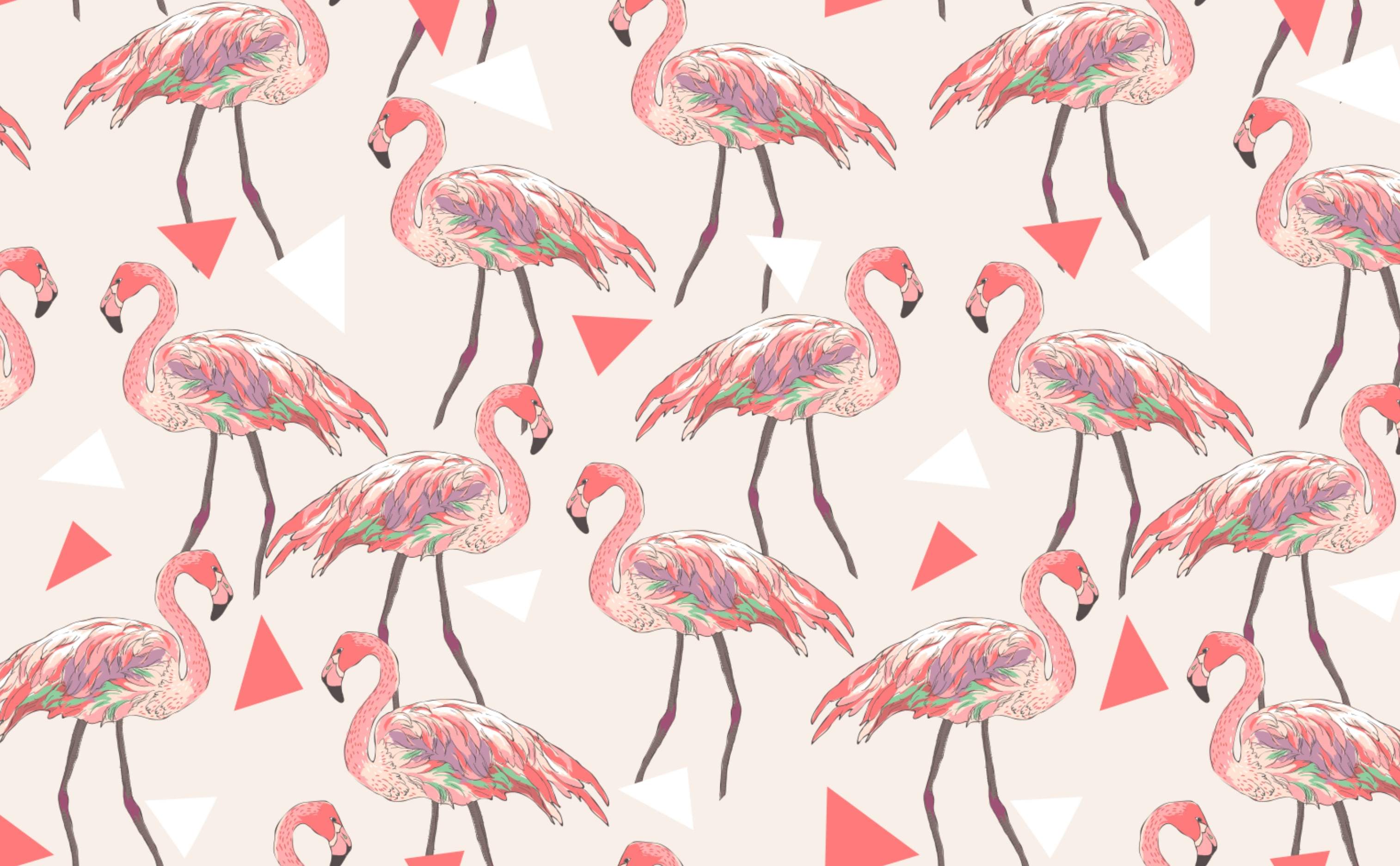 Flamingo Print Wallpapers - 4k, HD Flamingo Print Backgrounds on ...