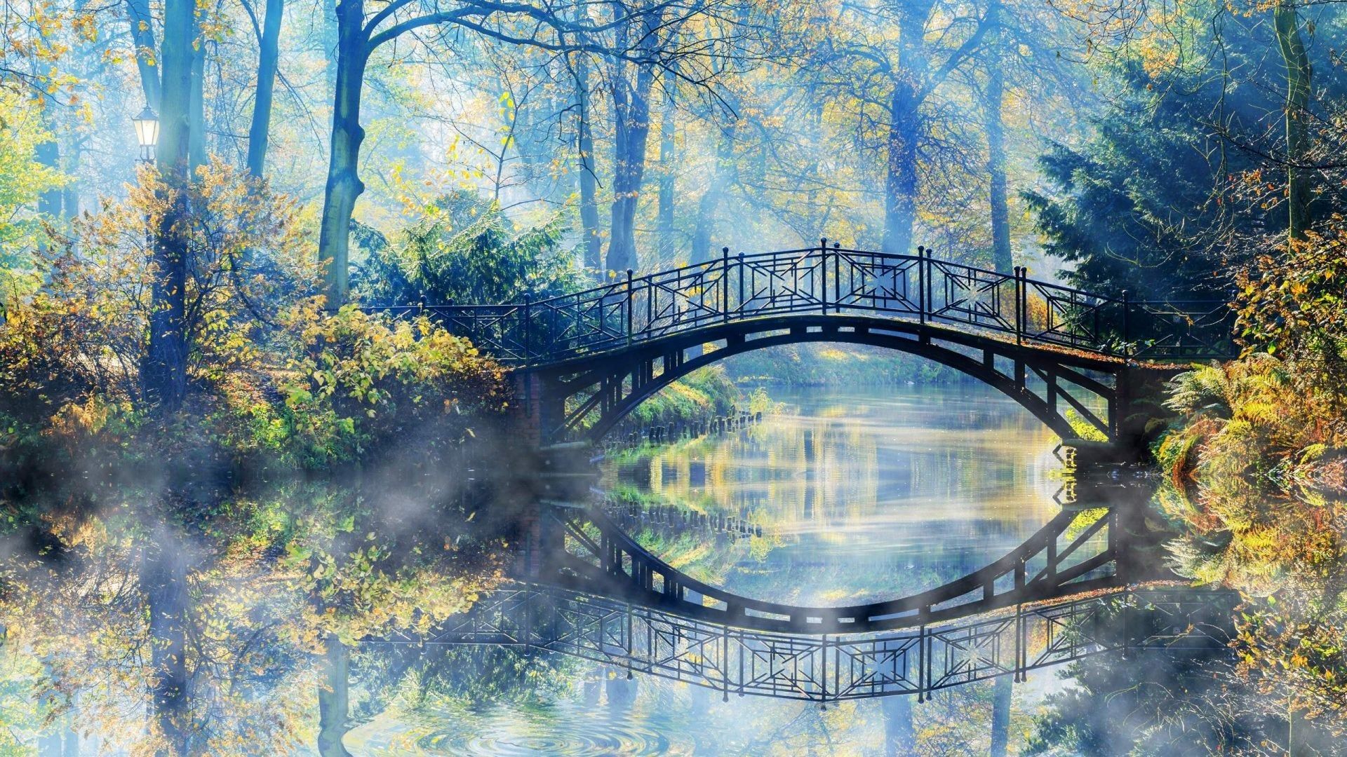 1920x1080 Tree Forest Bridge Landscape Wallpaper HD [1920 × 1080] : wallpaper Wallpaper