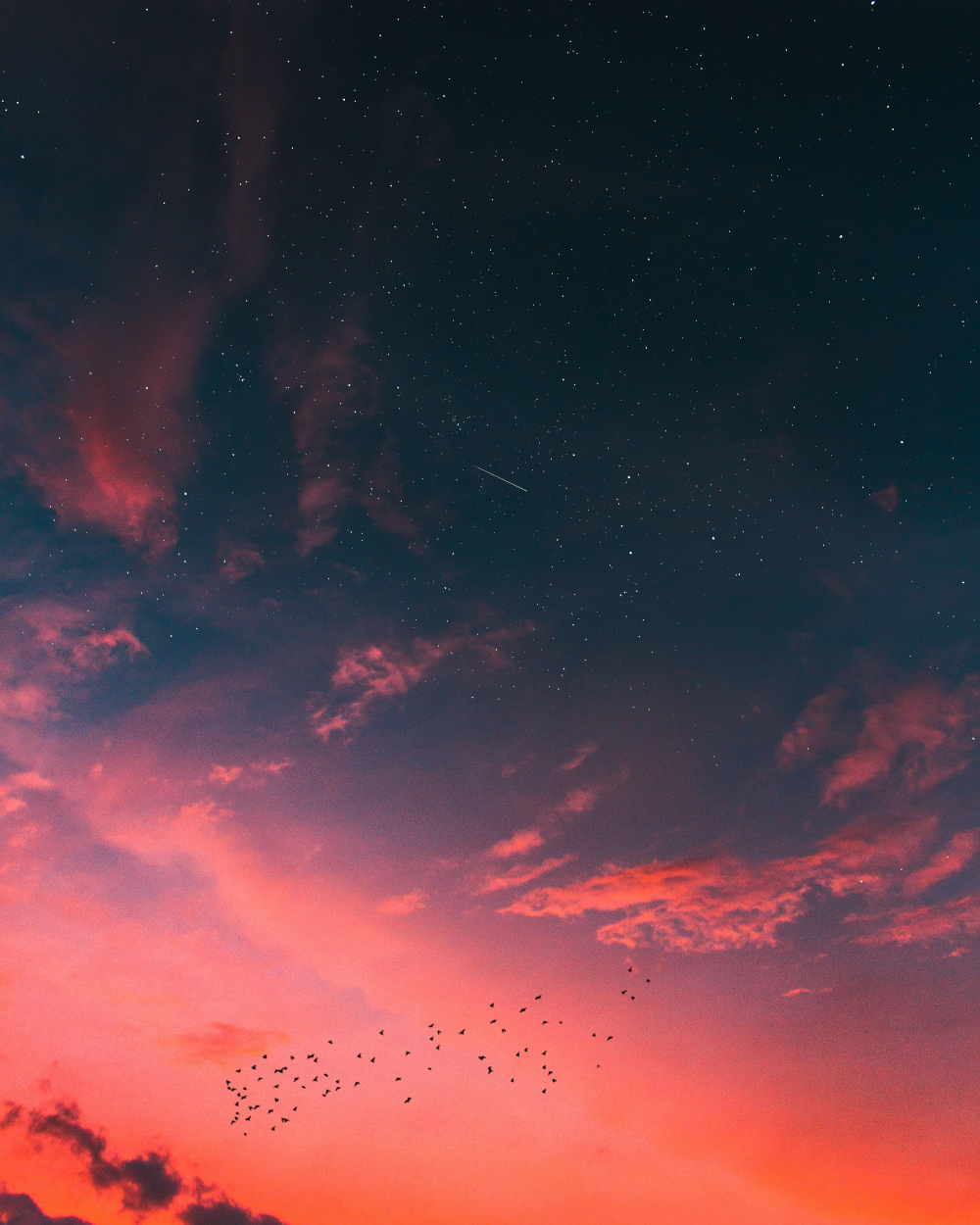 1000x1250 morning sky stars red - Cloud wallpaper, Phone background, Sky on WallpaperBat