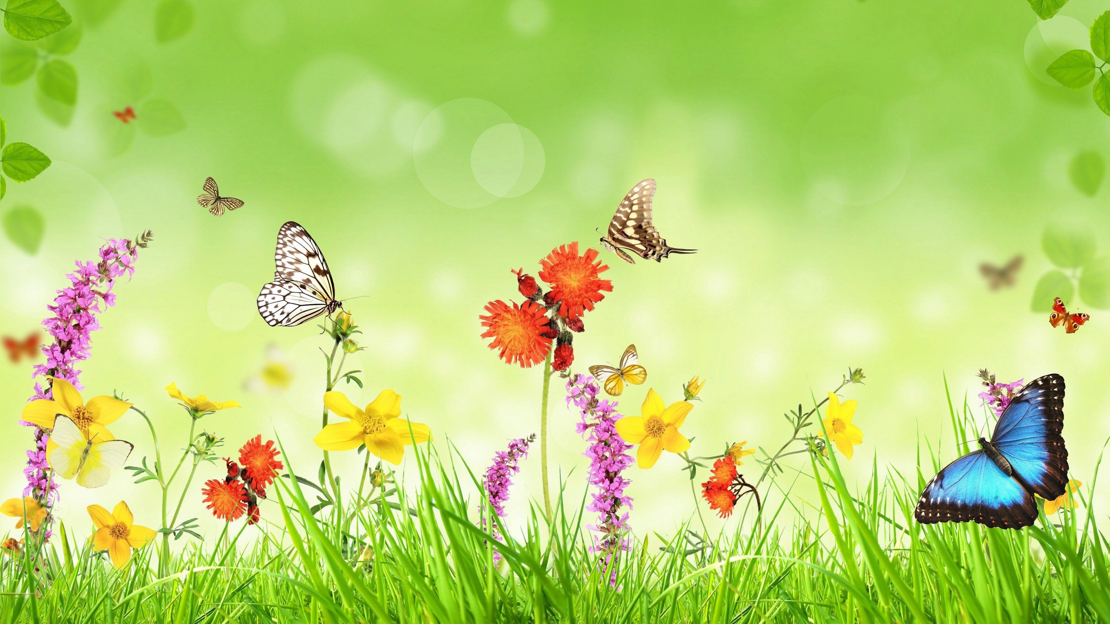 3840X2160 Spring Wallpapers - 4k, HD 3840X2160 Spring Backgrounds on ...