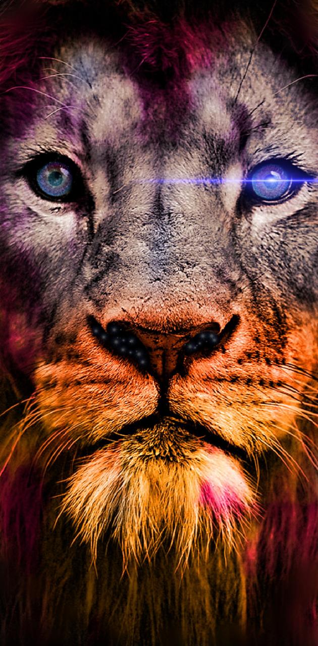 Lion Galaxy Wallpapers - 4k, HD Lion Galaxy Backgrounds on WallpaperBat