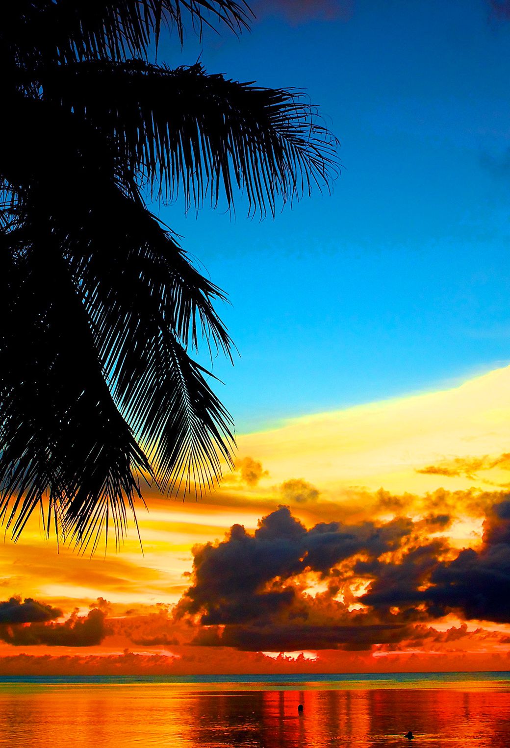 Tropical Sunset Wallpapers - 4k, HD Tropical Sunset Backgrounds on