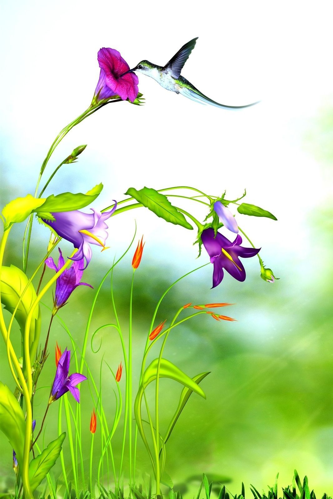 Purple Orchid Flower iPhone Wallpapers - 4k, HD Purple Orchid Flower ...