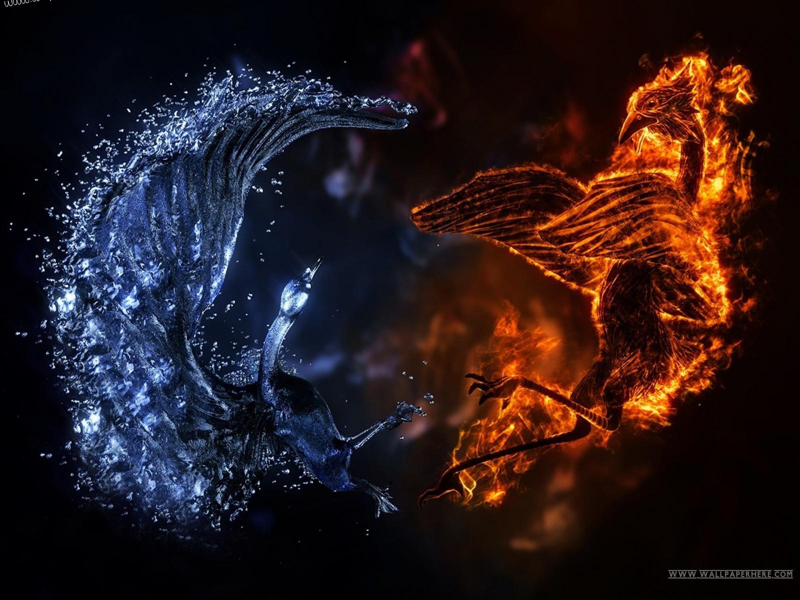 Elemental Dragon Wallpapers - 4k, HD Elemental Dragon Backgrounds on