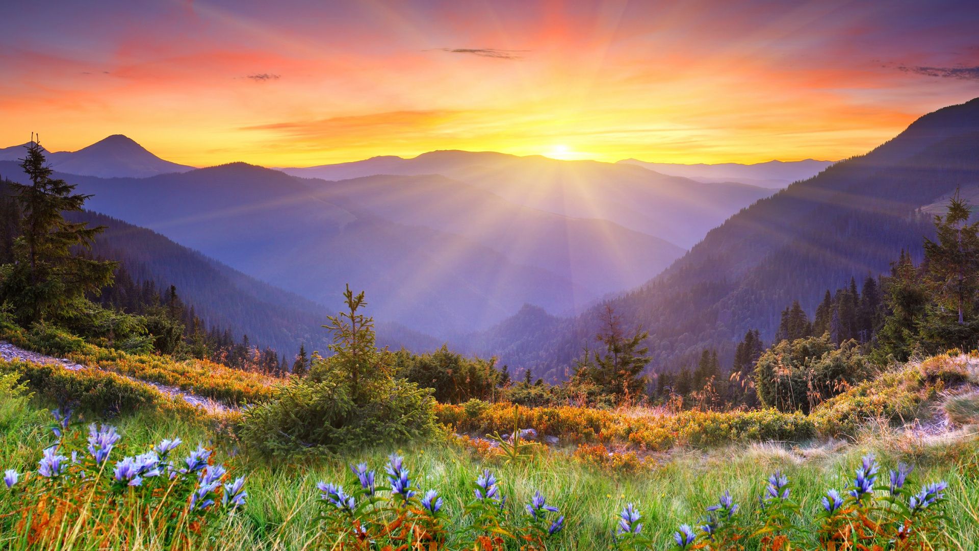 Smoky Mountain Sunrise Wallpapers - 4k, HD Smoky Mountain Sunrise ...