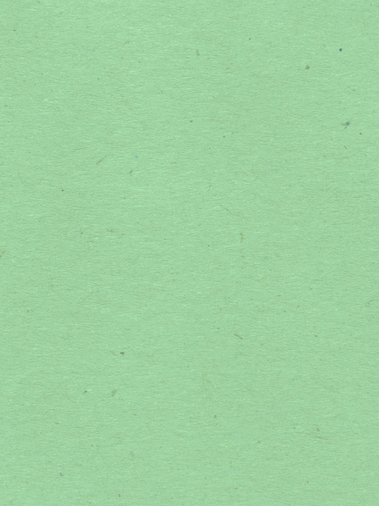 Light Mint Green Wallpapers - 4k, HD Light Mint Green Backgrounds on ...