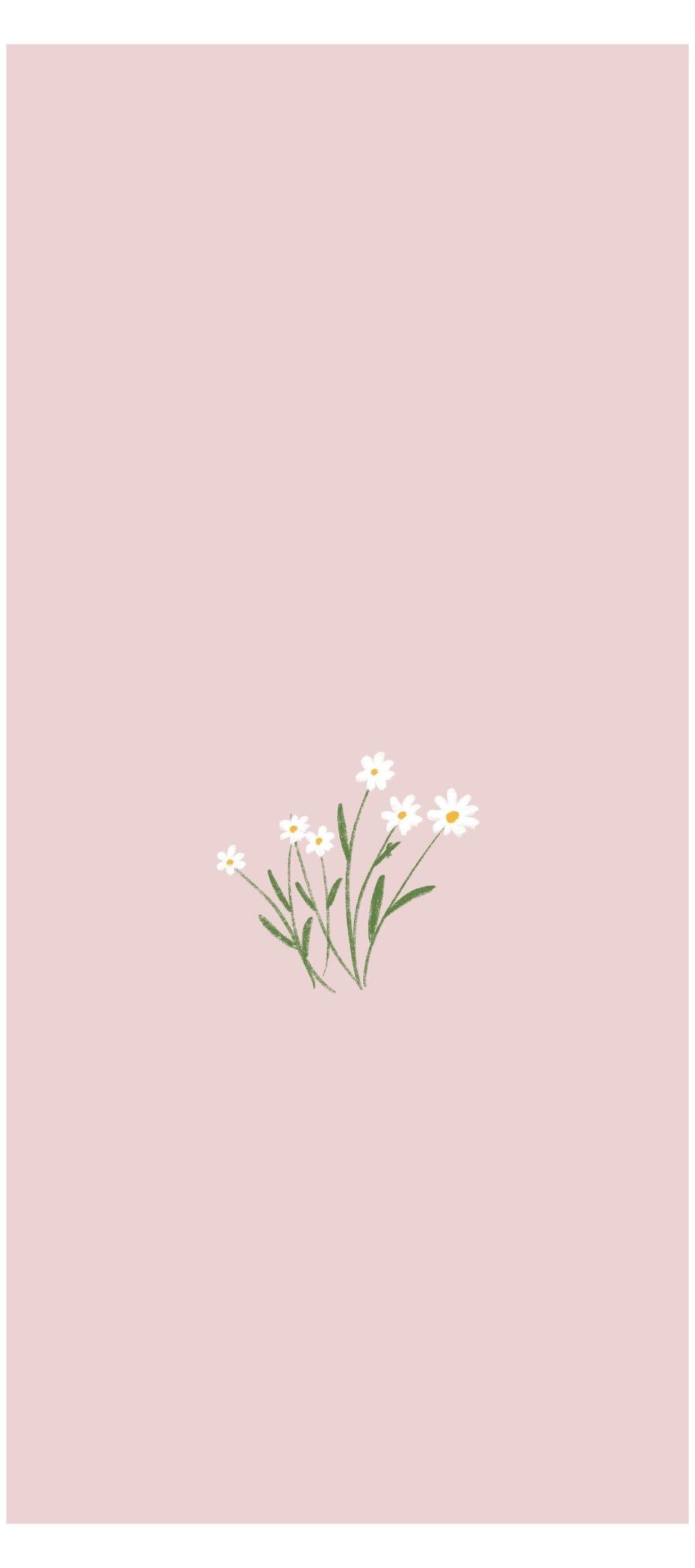 Simple Flowers Wallpapers - 4k, HD Simple Flowers Backgrounds on ...