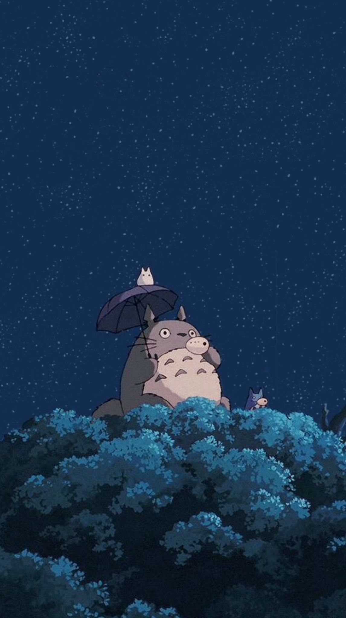 Totoro Phone Wallpapers - 4k, HD Totoro Phone Backgrounds on WallpaperBat