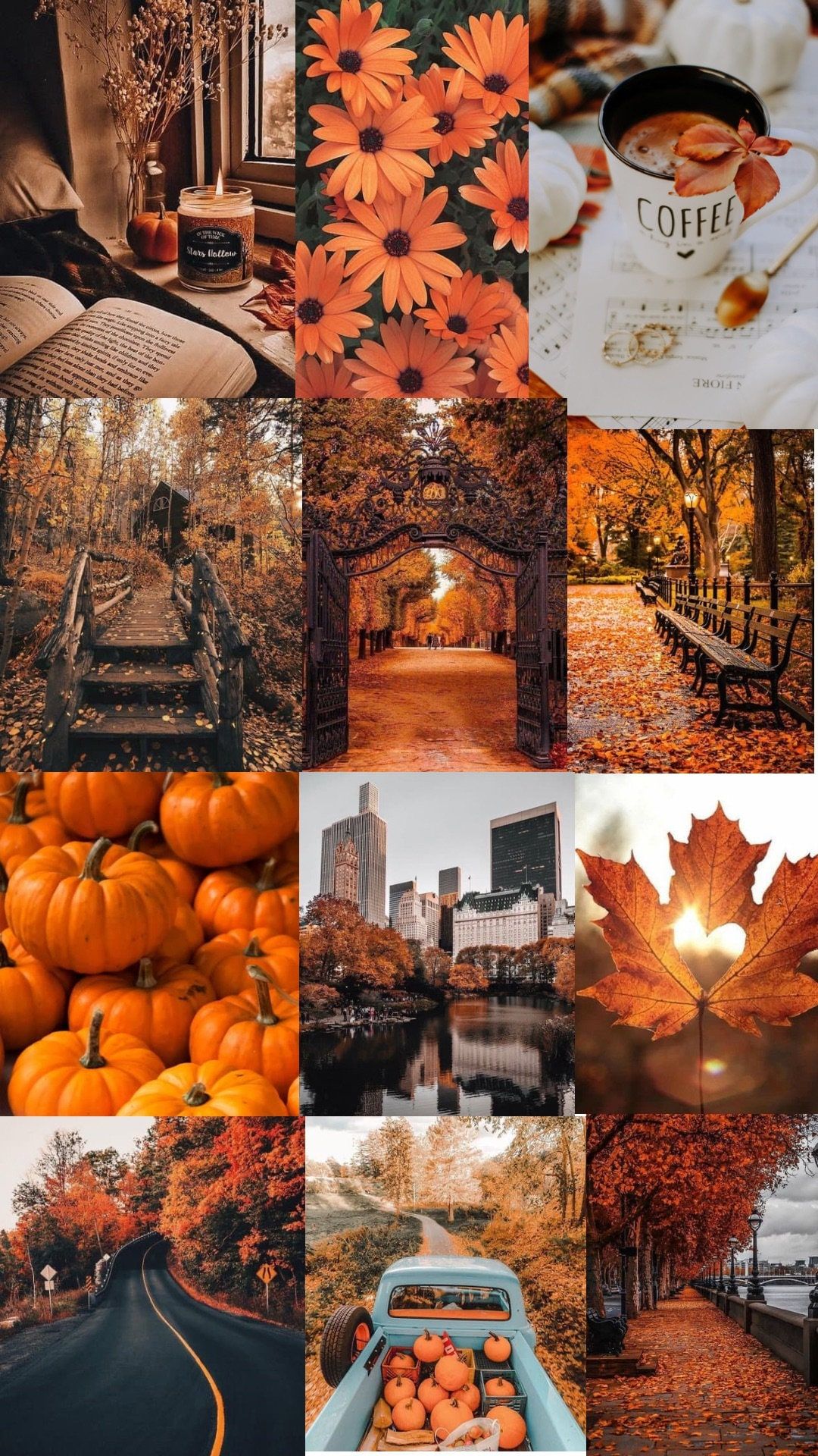 Fall Phone Wallpapers - 4k, HD Fall Phone Backgrounds on WallpaperBat