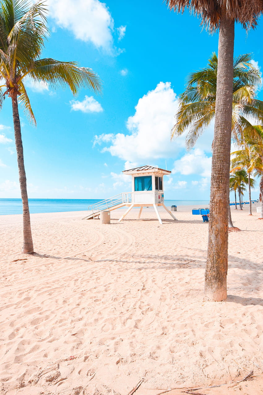 Fort Lauderdale Wallpapers - 4k, HD Fort Lauderdale Backgrounds on ...