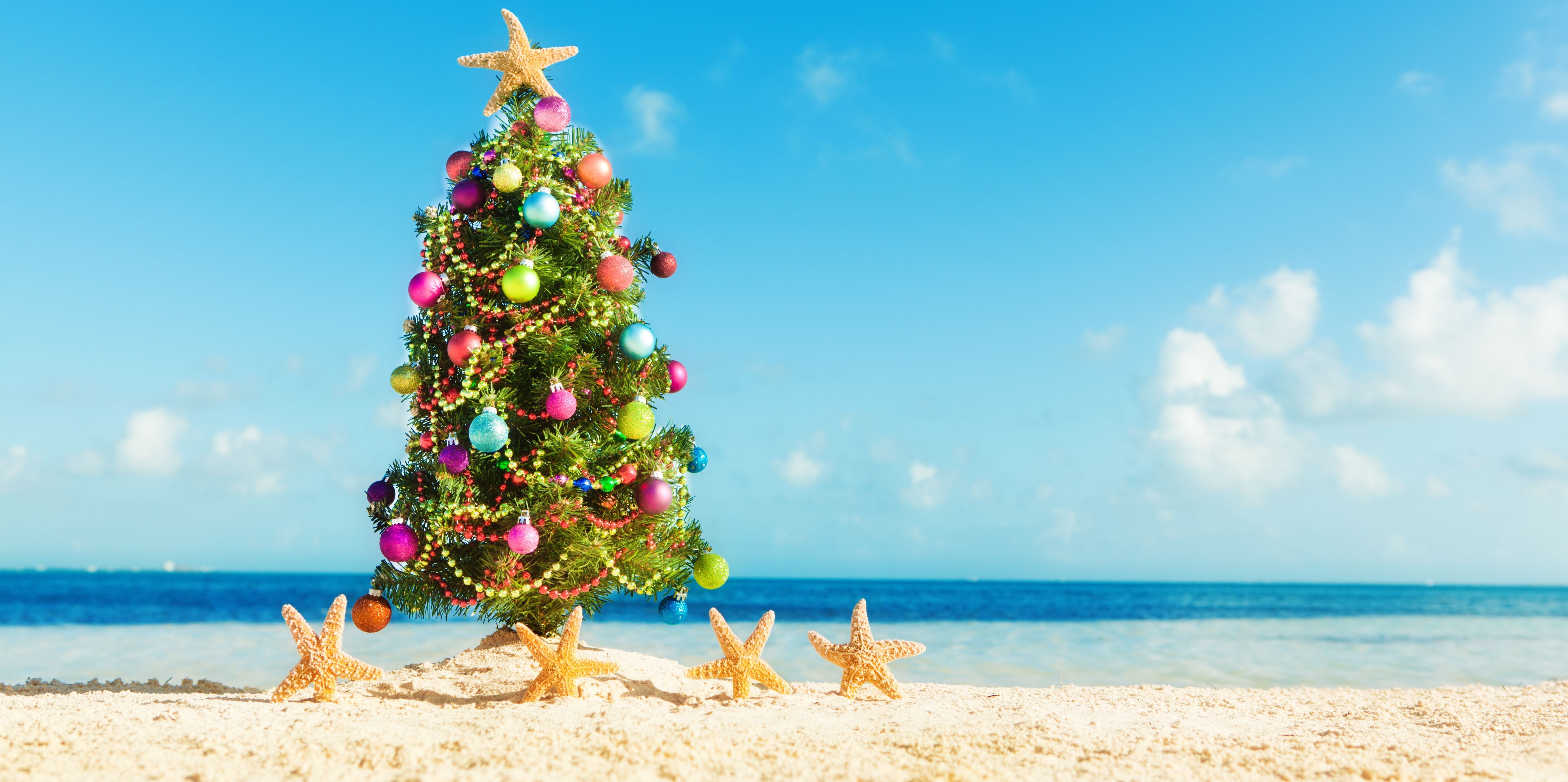 Tropical Christmas Tree Wallpapers 4k, HD Tropical Christmas Tree