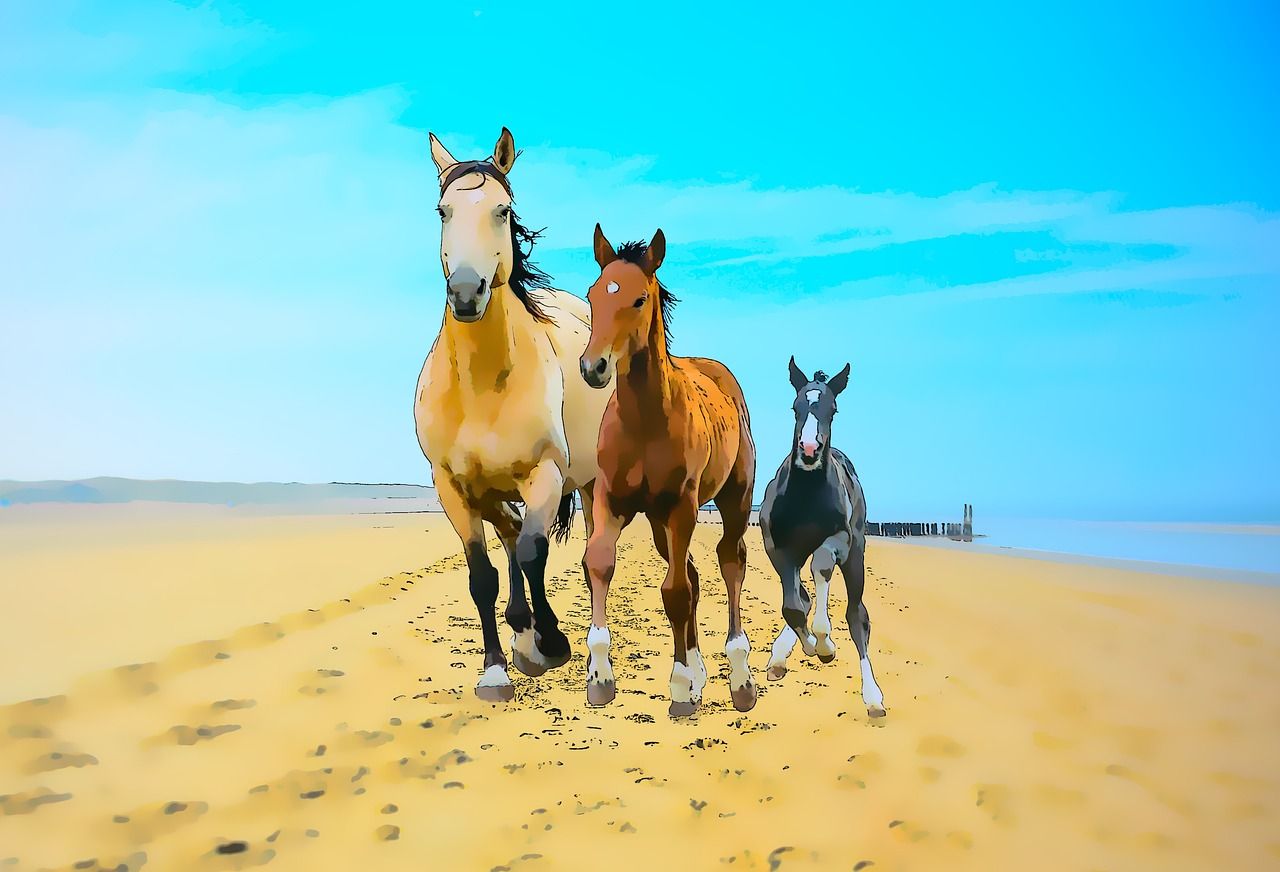 1280x872 Horses Animals Beach - Free photo on ... Wallpaper