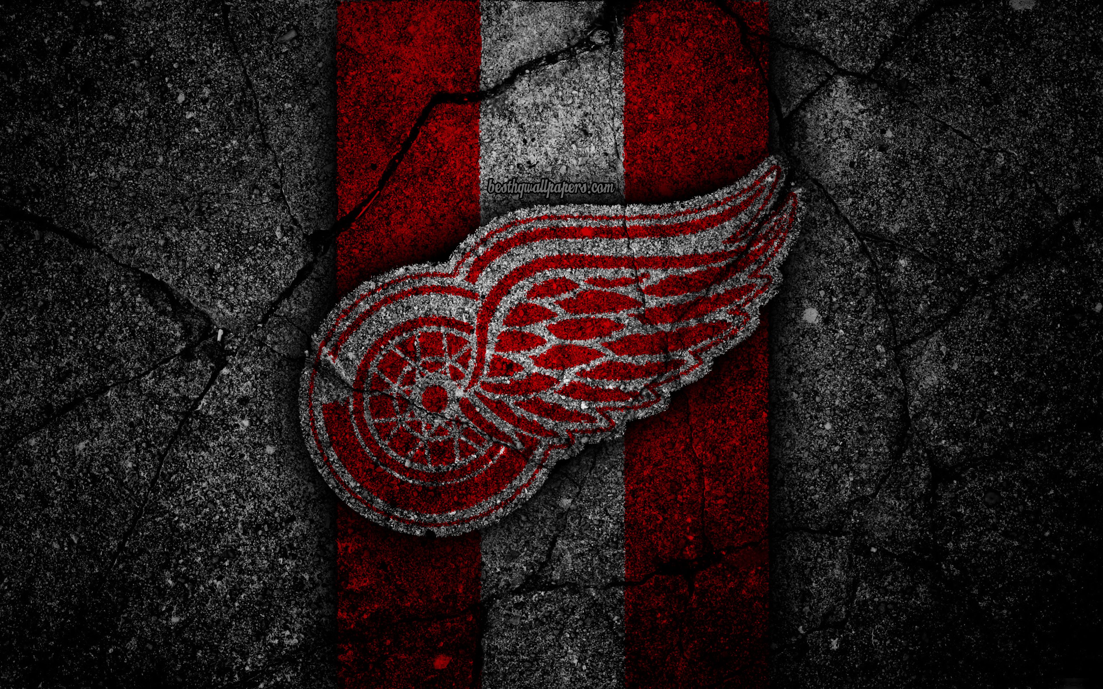 3840x2400 4k, Detroit Red Wings, Logo, Hockey Club, Nhl, Black - Black on WallpaperBat