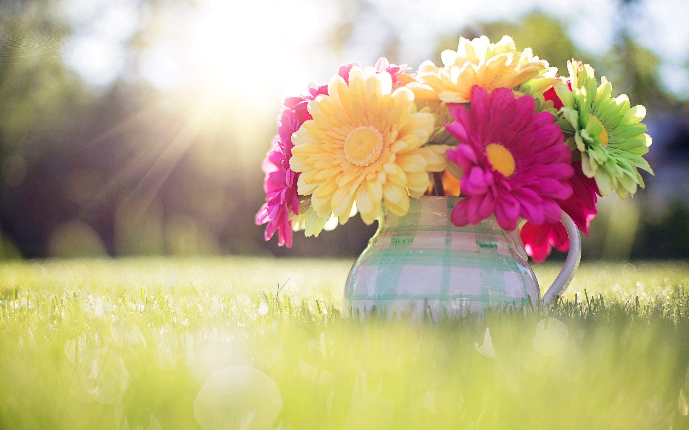 Summer Spring Desktop Wallpapers - 4k, HD Summer Spring Desktop ...