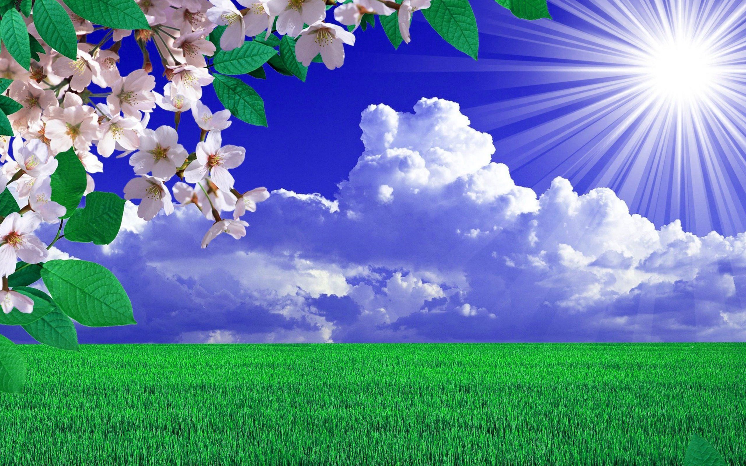 Summer Spring Desktop Wallpapers - 4k, HD Summer Spring Desktop ...