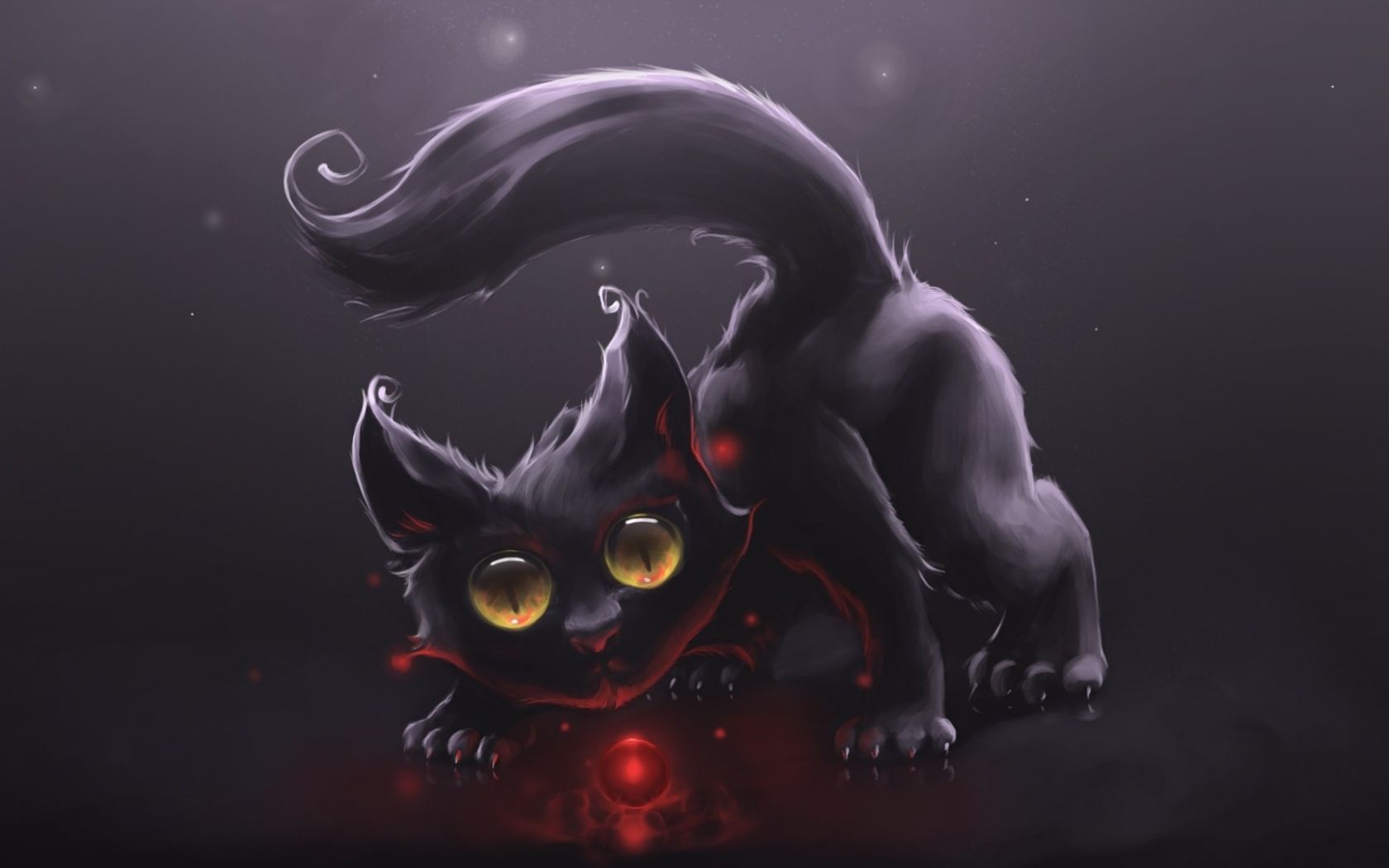 Demon Cat Wallpapers - 4k, HD Demon Cat Backgrounds on WallpaperBat