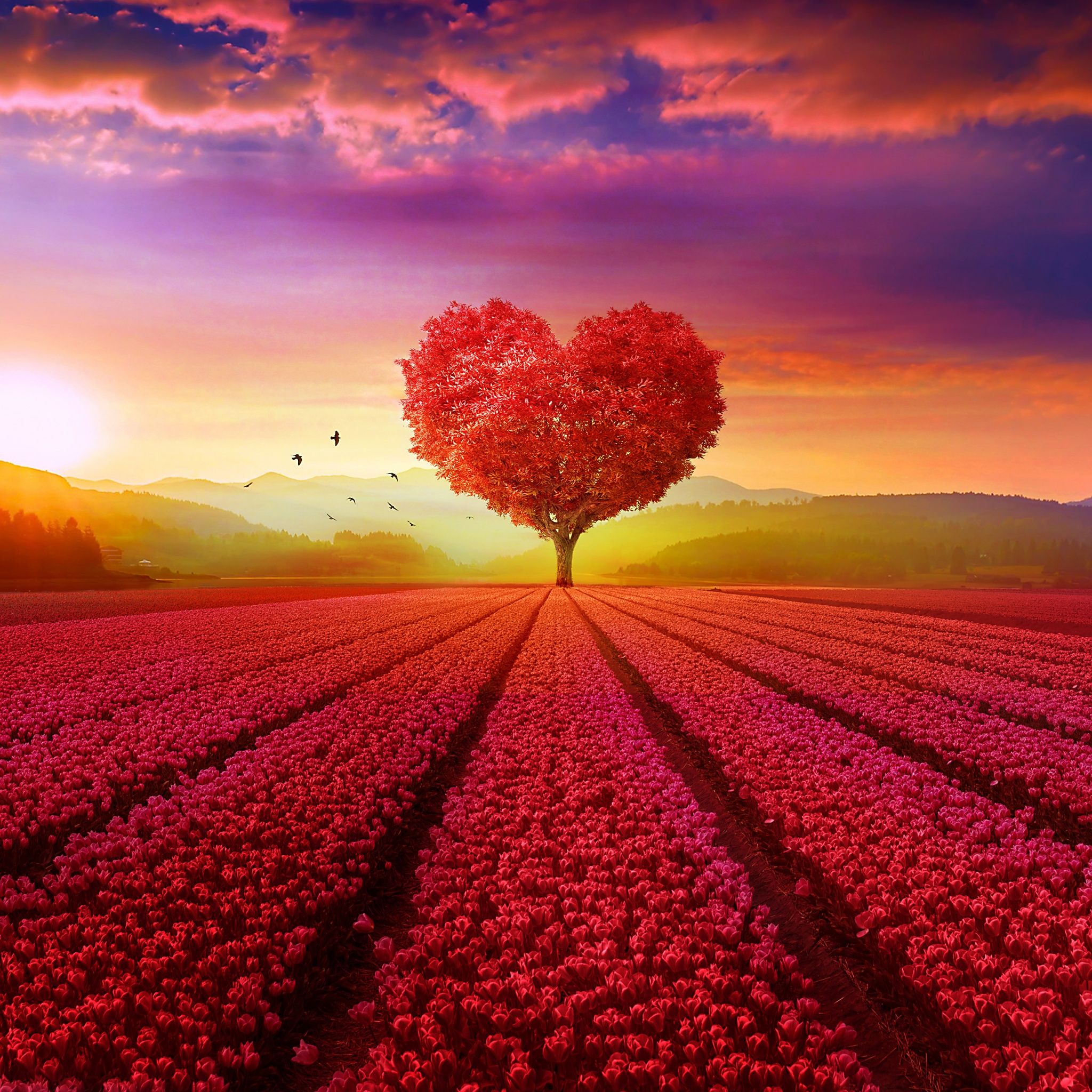 2048x2048 Heart tree Wallpaper 4K, Flower garden ... Wallpaper