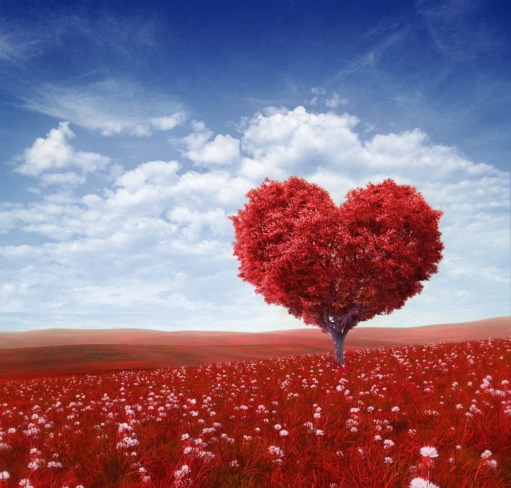 1000x954 Red Flower Heart Tree Wallpaper ... Wallpaper