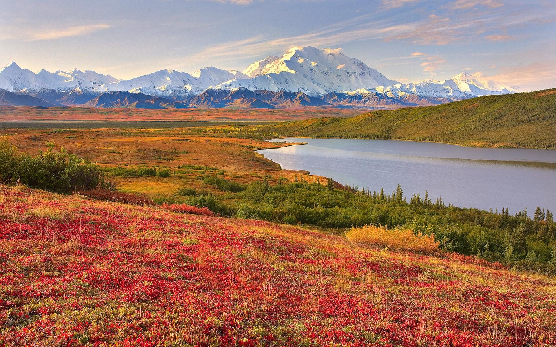 Denali Alaska Desktop Wallpapers - 4k, HD Denali Alaska Desktop ...