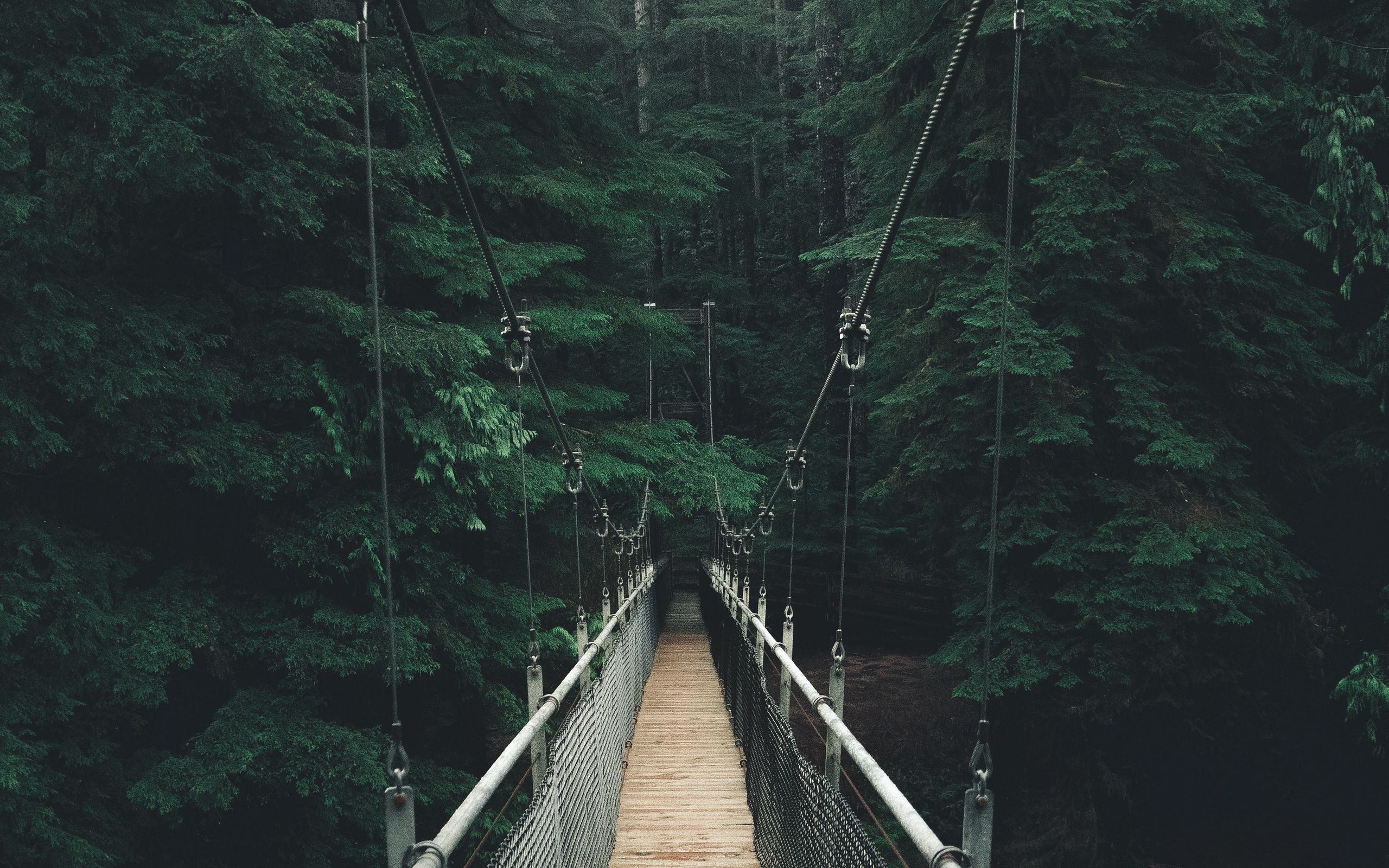 2560x1600 Download wallpaper 2560x1600 bridge, forest, fog, suspension ... Wallpaper