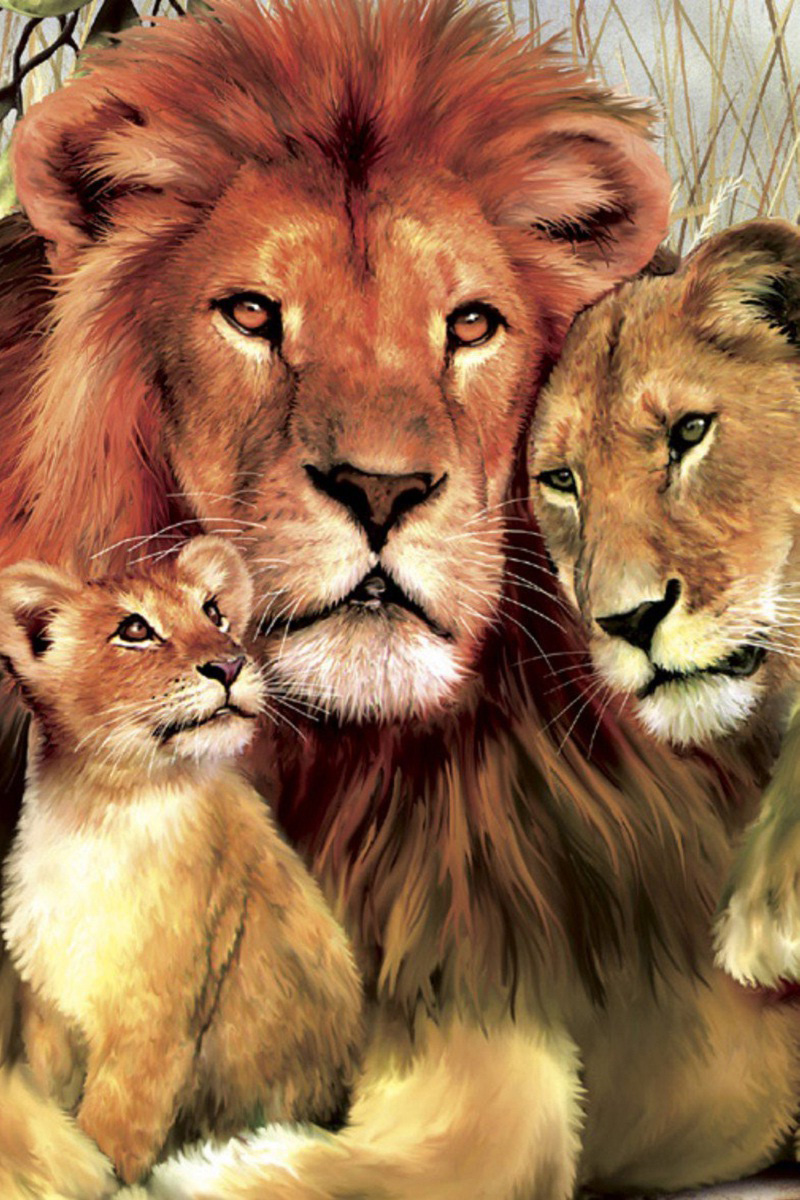 Lion Family Wallpapers - 4k, HD Lion Family Backgrounds on WallpaperBat