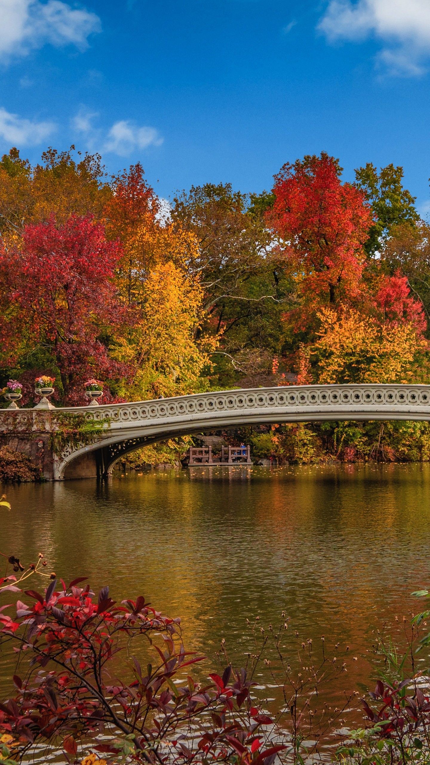 Central Park iPhone Wallpapers - 4k, HD Central Park iPhone Backgrounds ...