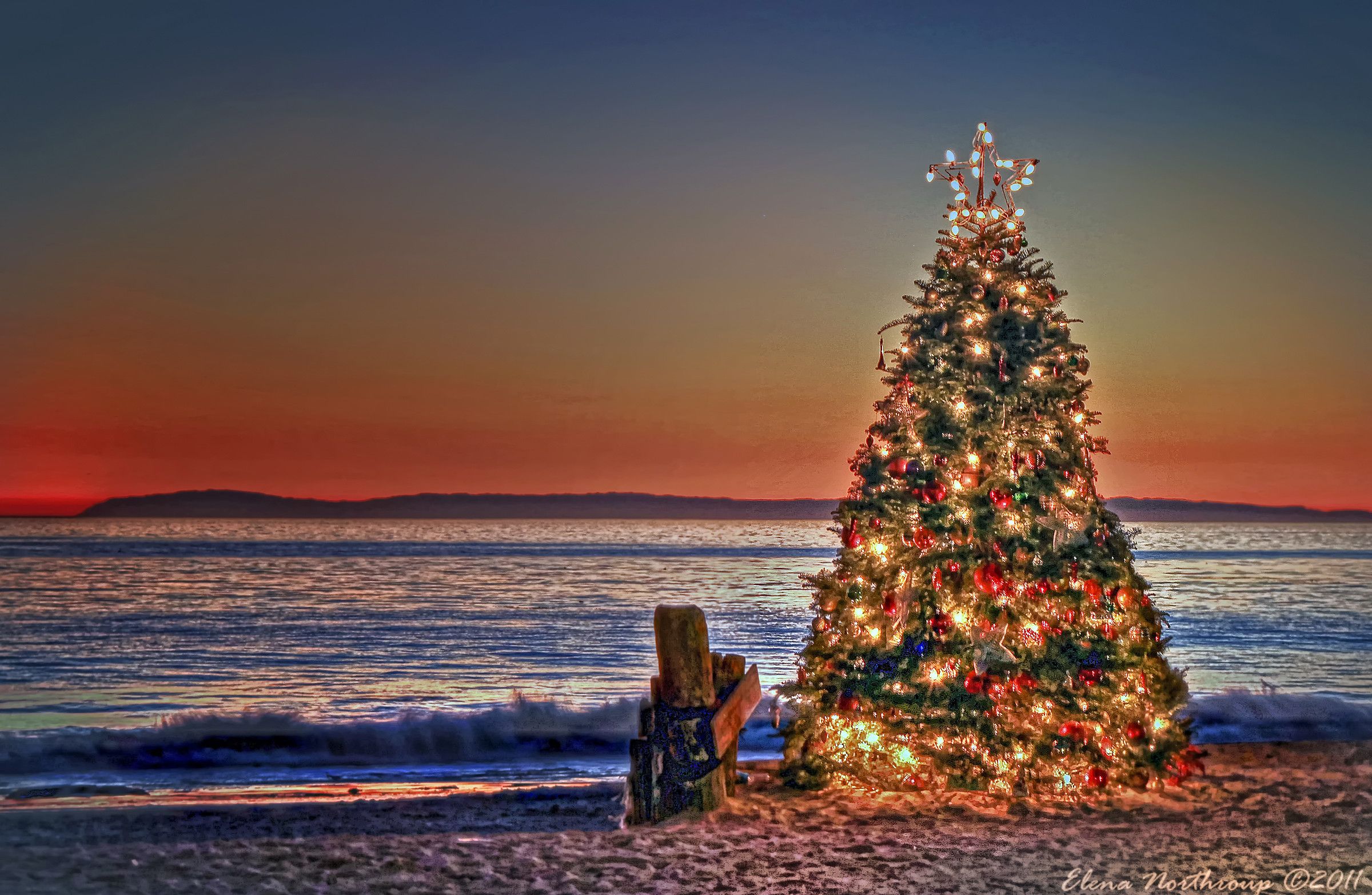 Beach Christmas Wallpapers - 4k, HD Beach Christmas Backgrounds on ...