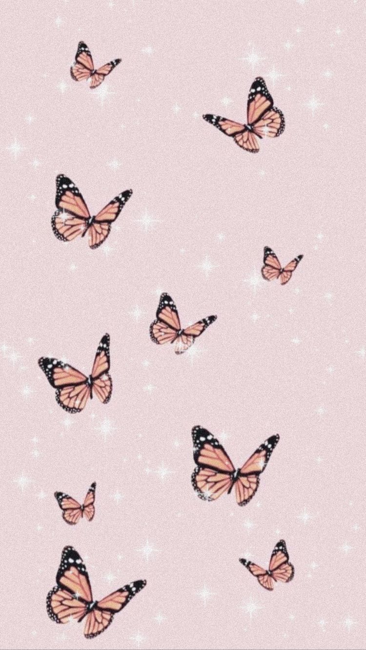 Butterfly iPhone Wallpapers - 4k, HD Butterfly iPhone Backgrounds on ...