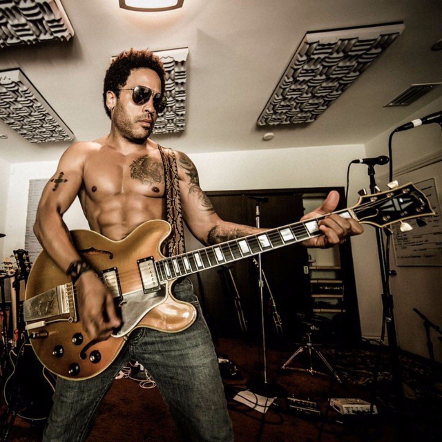 Lenny Kravitz Dick Falls Out